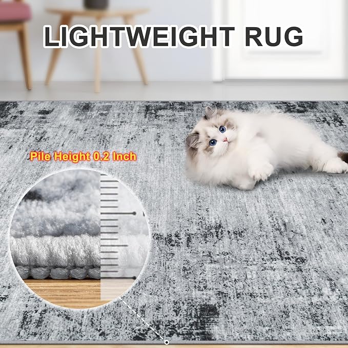 Area Rugs 9x12 Living Room - Image 4