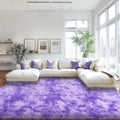 Mugorn Area Rugs 9x12 Living Room, Large Fluffy Area Rugs by MUGORN