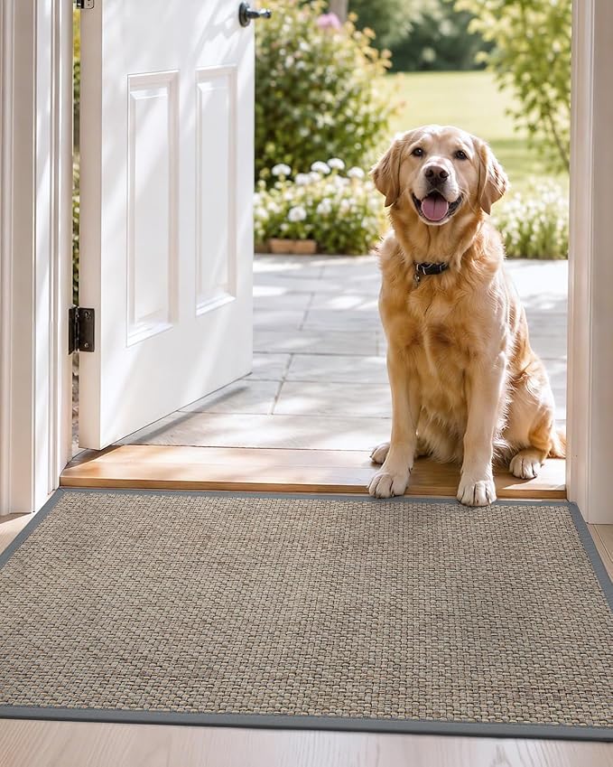 DEXI Ultra Thin Entryway Indoor Door Mat 32x48, Non Slip Rubber Backing Inside - Image 9