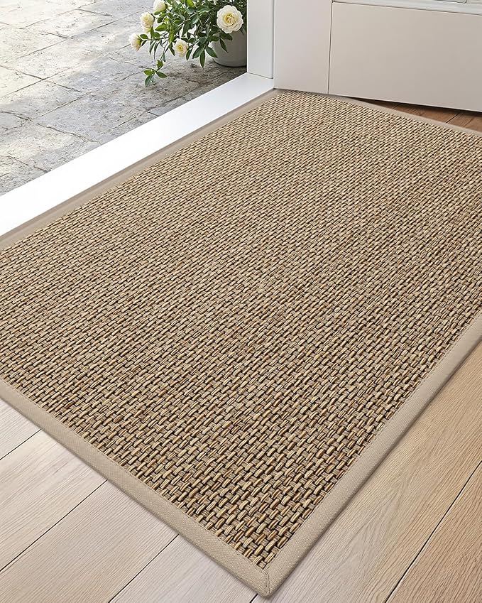 DEXI Ultra Thin Entryway Indoor Door Mat 17x30, Non Slip Rubber Backing Inside by DEXI
