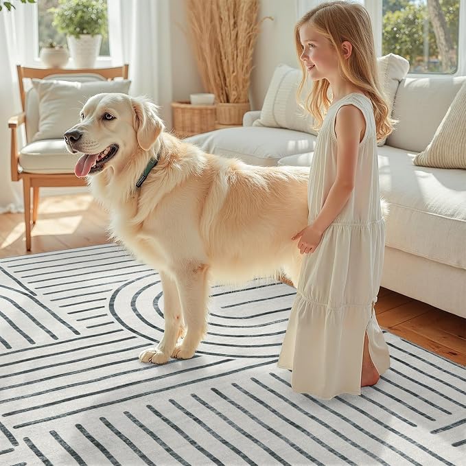 DCX Abstract Machine Washable 5x7 Rug, Soft Low Pile Non Slip Carpet, Kid & Pet - Image 3