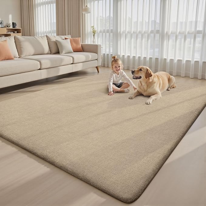 Sour Lemon 8x10 Area Rugs for Living Room, Soft Large Area Rug Fluffy Rugs for - Image 7