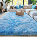 5x7 Fluffy Fuzzy Area Rug for Living Room Bedroom, Ultra Soft Rugs for Living by Awaytail