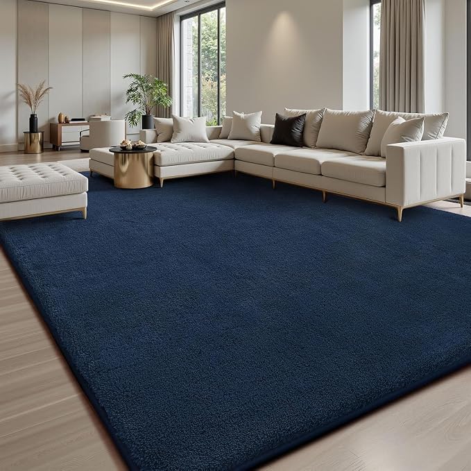 Sour Lemon 5x7 Area Rugs for Living Room, Soft Large Area Rug Fluffy Rugs for by SourLemon