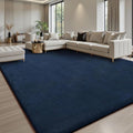 Sour Lemon 5x7 Area Rugs for Living Room, Soft Large Area Rug Fluffy Rugs for by SourLemon