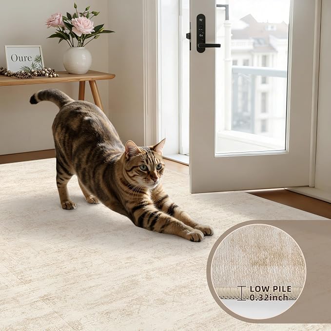2'6''x8' Hallway Washable Runner Rug: Vintage Boho Neutral Kitchen Rug Soft - Image 5