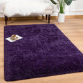 Andecor Soft Fluffy Bedroom Rugs, 3 x 5 Feet Indoor Shaggy Plush Area Rug by Andecor