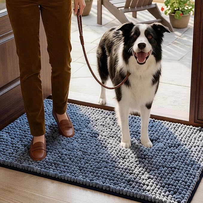 EHEYCIGA Super Absorbent Dog Door Mat by EHEYCIGA