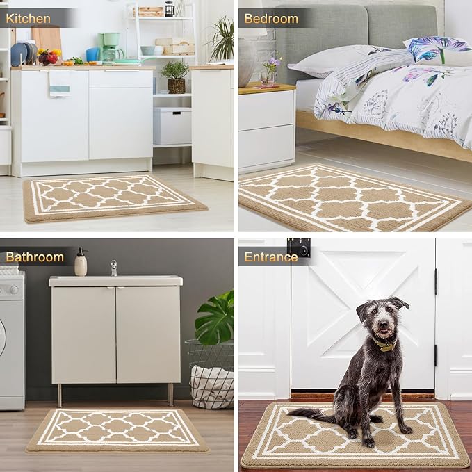 Buganda Large Indoor Door Mat, Dirt-Resistant and Absorbent Doormat, Low - Image 6
