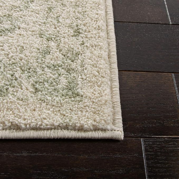 SAFAVIEH Area Rug 8x10 - Image 9