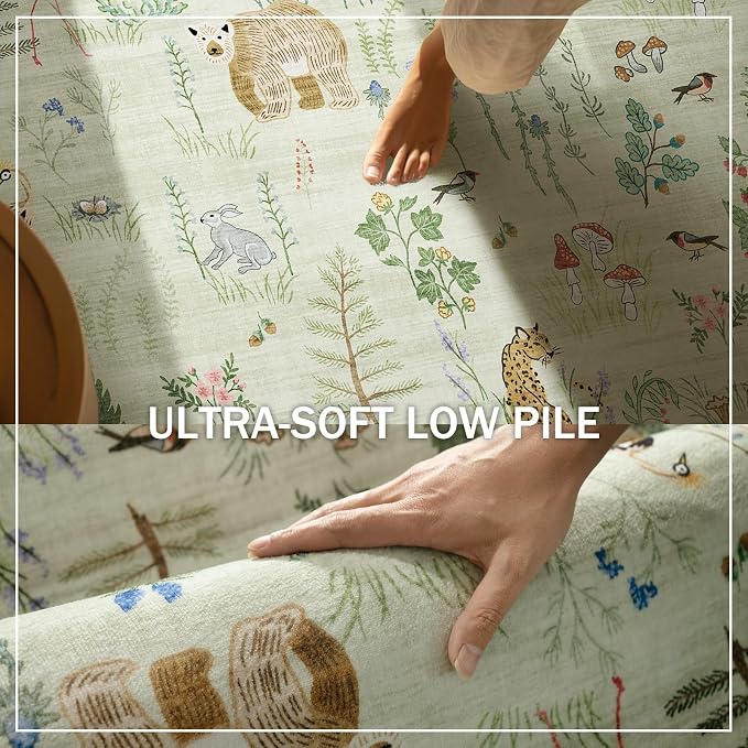 Washable Small Throw Rugs for Entryway: Door Mat Indoor Entrance 4x6 Area Rug - Image 4