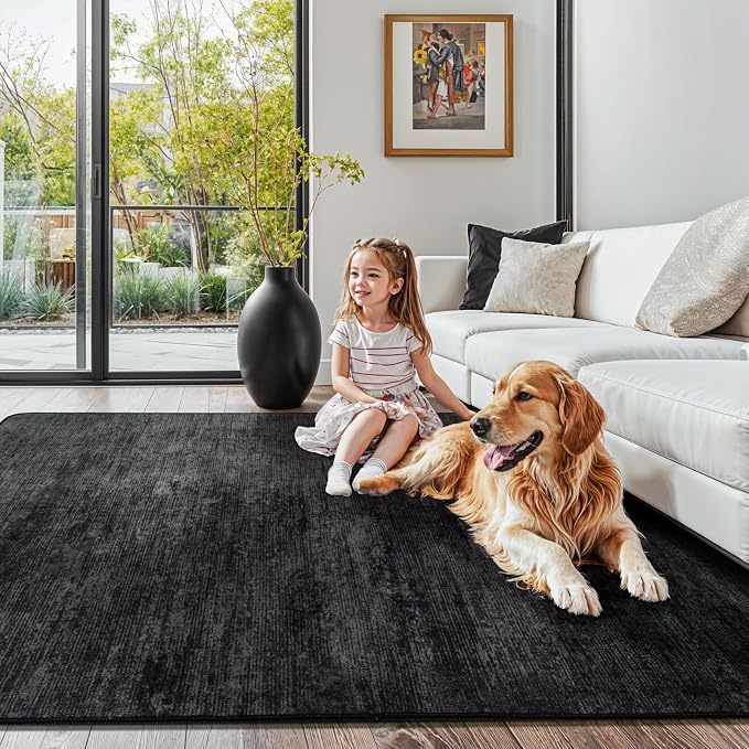LIANLAM Washable 3x5 Entry Rugs - Image 2
