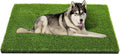 CooZero Artificial Grass, 47.3"x31.5" Professional Dog Grass Mat, Potty by CooZero
