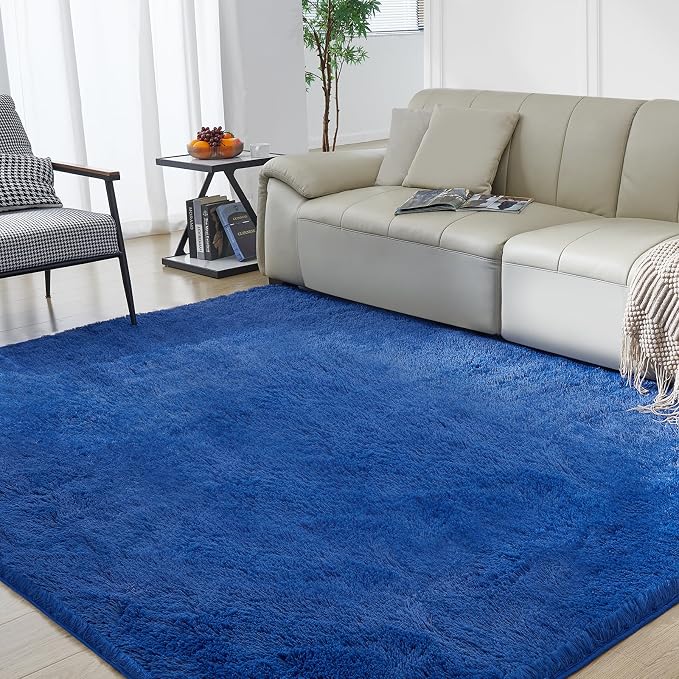 Ultra Soft Rug for Living Room, 6X9 Fluffy Shag Area Rug for Bedroom, Modern by Fairblink