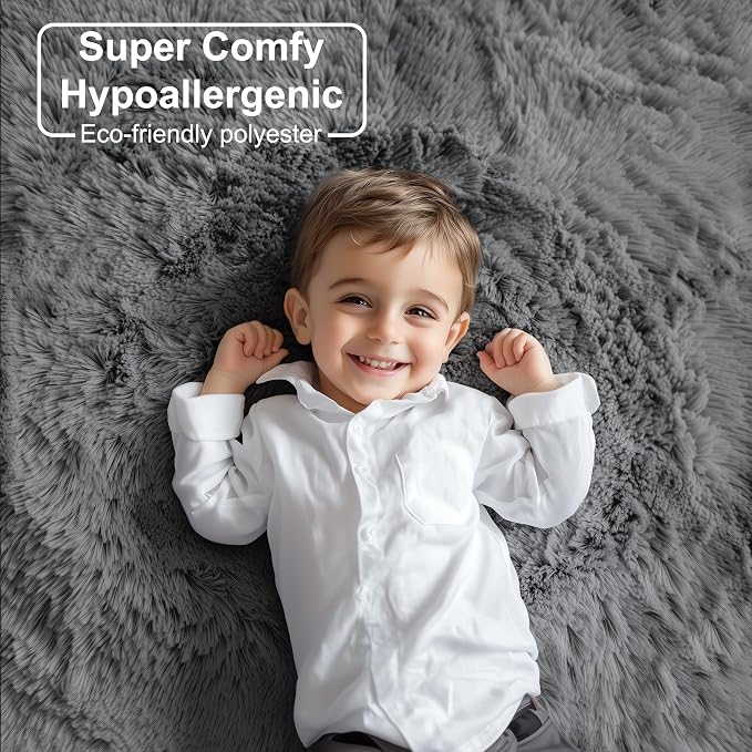 PAGISOFE Plush Area Rugs for Living Room 6x9 Ft, Ultra Soft Shaggy Grey Rugs - Image 2