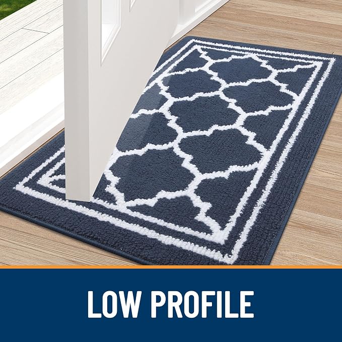 Buganda Large Indoor Door Mat, Dirt-Resistant and Absorbent Doormat, Low - Image 3