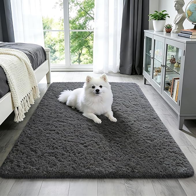Ophanie Washable 3x5 Area Rug, Bedside Preppy Dorm Rug, College Essentials Non by Ophanie