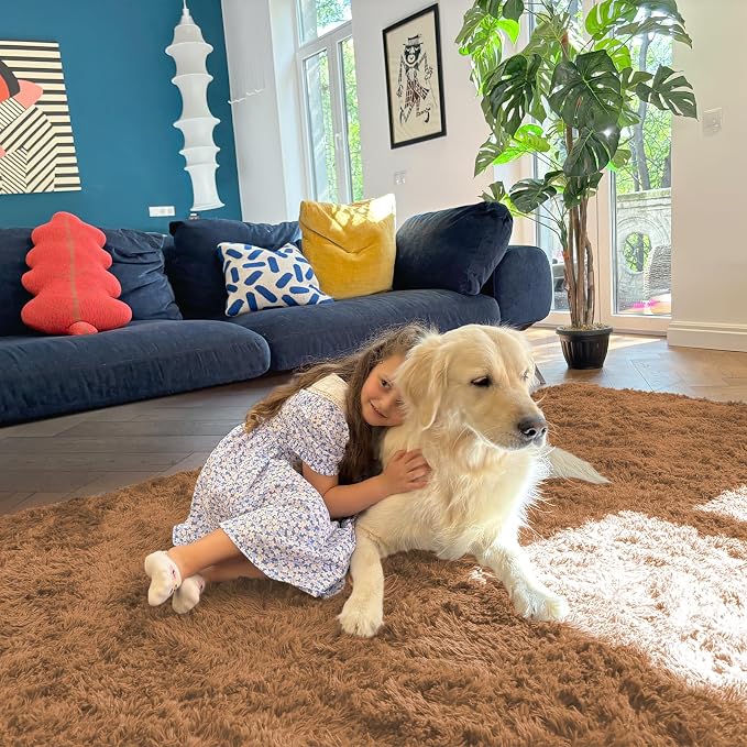 OLANLY 5x7 Machine Washable Large Area Rugs - Image 5