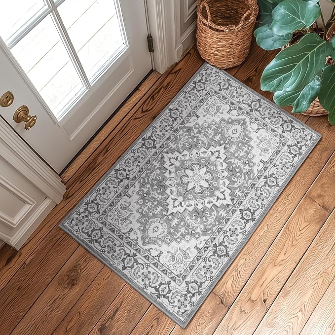 Lessymo 2 x 3 Entryway Rug by Lessymo
