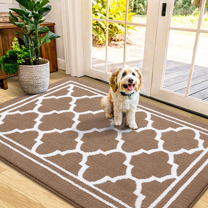 Buganda Indoor Door Mat, Dirt-Resistant and Absorbent Doormat, Low Profile by Buganda