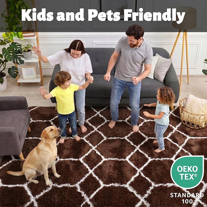 ONASAR 6x9 Area Rugs for Living Room Bedroom, Large Fluffy Brown and White - Image 3