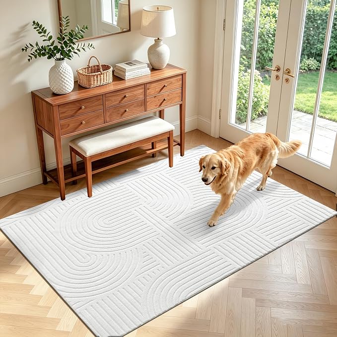 Pauwer 4x6 Washable Area Rugs for Living Room Modern White Solid Color Soft by Pauwer