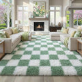 KICMOR Living Room Rugs 5x8 Sage Green and White, Large Fluffy Furry Shaggy by KICMOR