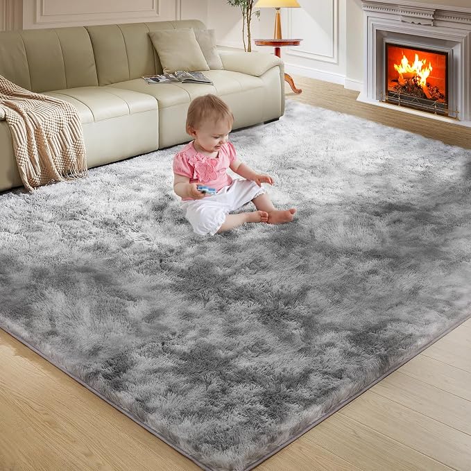 5X8 Ultra Soft Rug for Living Room, 5X8 Fluffy Shag Area Rug for Bedroom by Fairblink