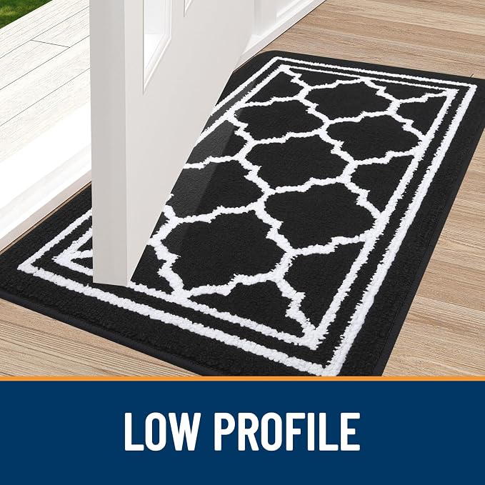 Buganda Large Indoor Door Mat, Dirt-Resistant and Absorbent Doormat, Low - Image 3