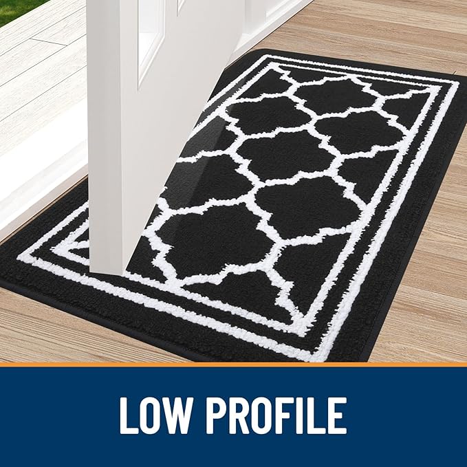 Buganda Indoor Door Mat, Dirt Resistant and Absorbent Entrance Mat, Low Profile - Image 3