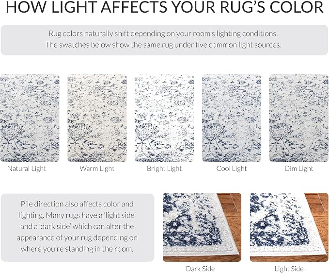 SAFAVIEH Adirondack Collection Area Rug - Image 6