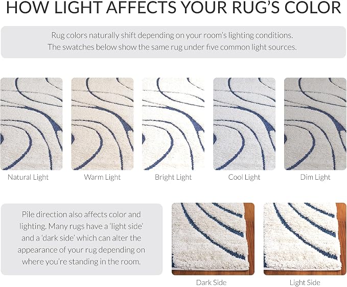 SAFAVIEH Florida Shag Collection Accent Rug - Image 9