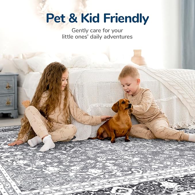 Lessymo 5x7 Area Rugs for Living Room - Image 4