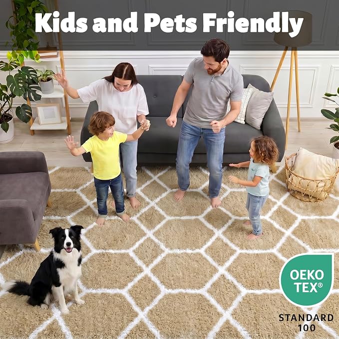 ONASAR Area Rugs for Bedroom Living Room, 4x6 Fluffy Beige and White Throw Rug - Image 3