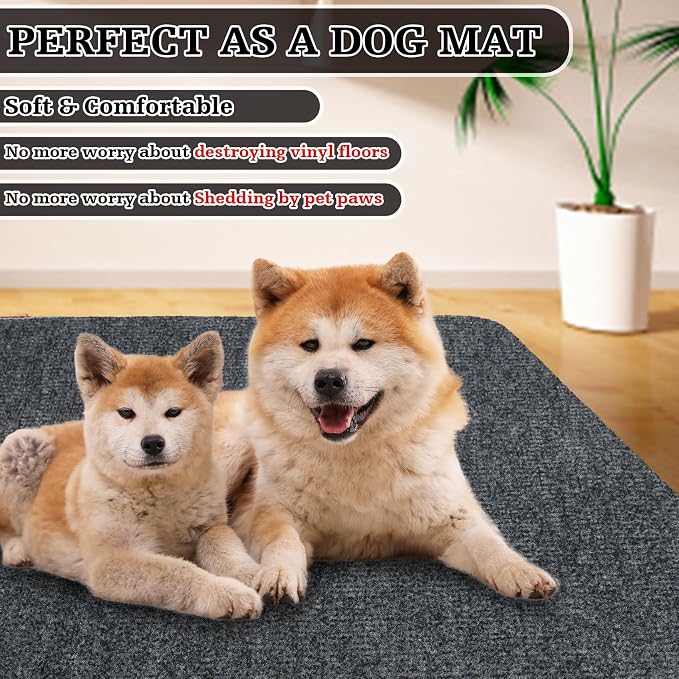 Doormats Outdoor and Indoor Ultra Thin Design, Strong Stain-Resistant Entryway - Image 6