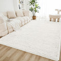 Litanika 6x9 Shag Area Rug for Living Room Bedroom, Non-Shedding Modern Indoor by Litanika