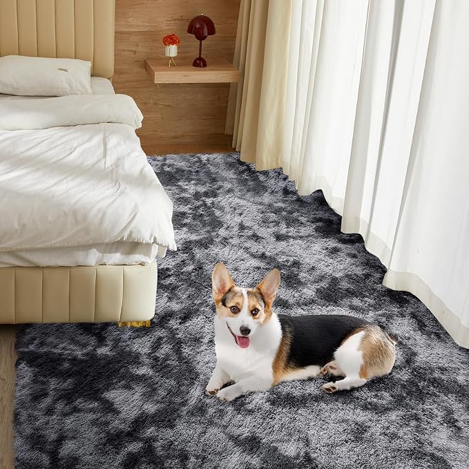 Ultra Soft Rug for Living Room, 4X6 Fluffy Shag Area Rug for Bedroom, Modern - Image 2
