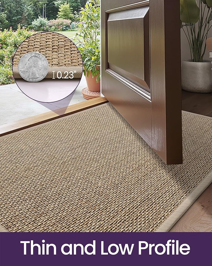 DEXI Ultra Thin Entryway Indoor Door Mat 17x30, Non Slip Rubber Backing Inside - Image 4