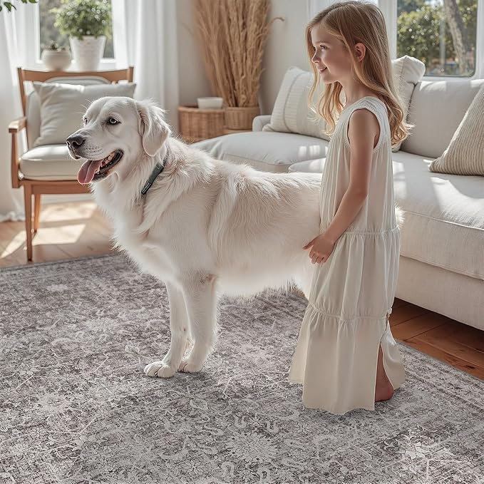 DCX Machine Washable Grey Entryway Rug 2x3, Non Slip Stain Resistant Vintage - Image 3