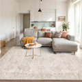 Rugxara Washable Area Rug for Living Room, Vintage Neutral Boho Rugs for Office by Rugxara