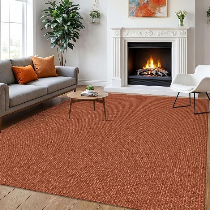 IOHOUZE Washable Area Rug 6x9 Non Slip Rubber Backed Rugs by iOhouze