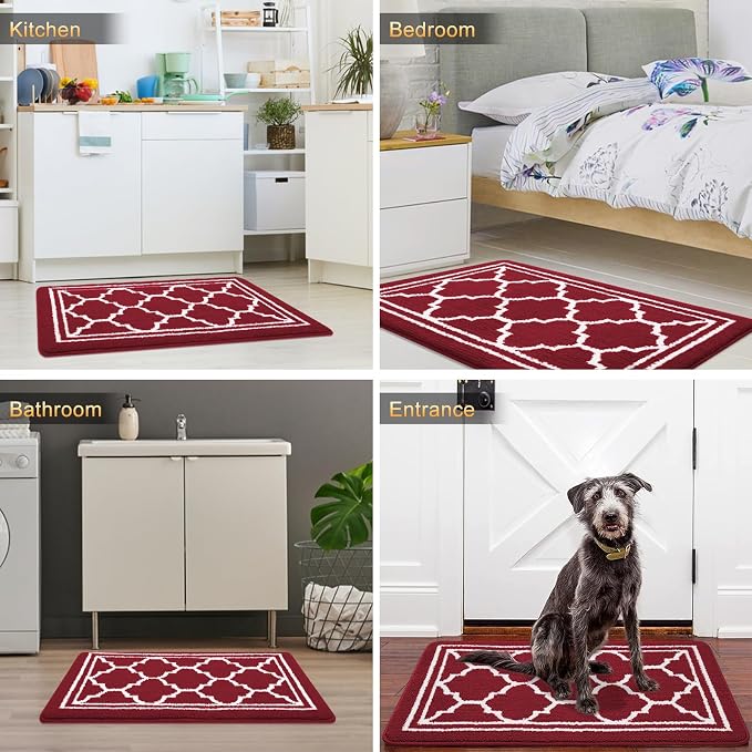 Buganda Indoor Door Mat, Dirt-Resistant and Absorbent Doormat, Low Profile - Image 6