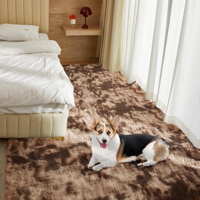 Ultra Soft Rug for Living Room, 8X10 Tie-Dyed Coffee Fluffy Shag Area Rug for - Image 9