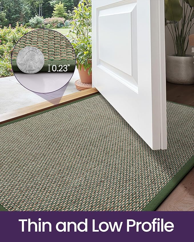 DEXI Ultra Thin Entryway Indoor Door Mat 32x48, Non Slip Rubber Backing Inside - Image 4
