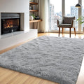 Zentavio Area Rugs for Living Room Grey Rugs for Bedroom 4x6 Carpet Fluffy by ZentavioRug