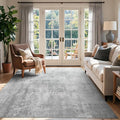 4x6 Ft Area Rugs for Living Room, Soft Non-Slip Washable Rugs Modern Abstract by Cuzwlovita