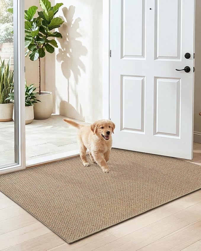 DEXI Ultra Thin Door Mat Indoor Entrance 32x48, Non Slip Rubber Backed Entryway - Image 9