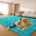 Fluffy Plush Shag Rug 5x7, Ultra Soft Rug by Mtandyx