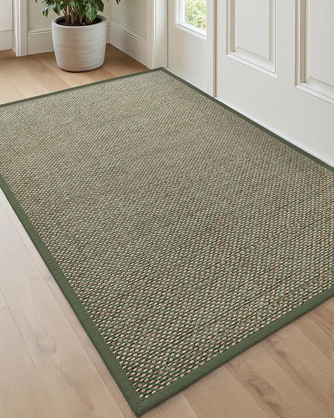 DEXI Ultra Thin Entryway Indoor Door Mat 32x48, Non Slip Rubber Backing Inside by DEXI