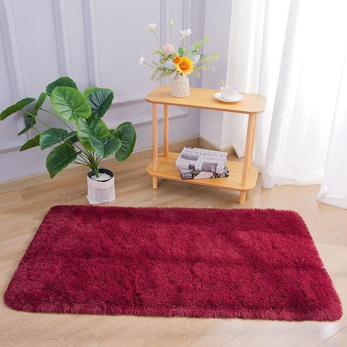 Chicrug Soft Runner Rug for Bedroom Living Room Plush Fluffy Rug 2x4 Feet - Image 2